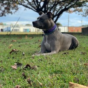 Meet your Posher, Tyler